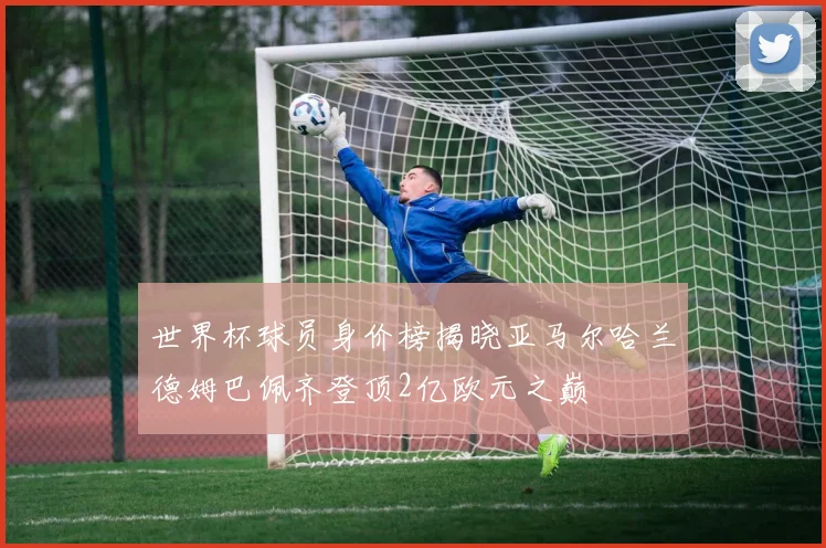 世界杯球员身价榜揭晓亚马尔哈兰德姆巴佩齐登顶2亿欧元之巅