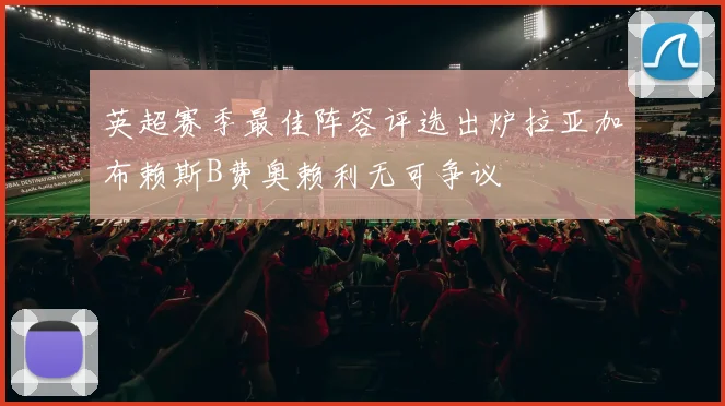 英超赛季最佳阵容评选出炉拉亚加布赖斯B费奥赖利无可争议