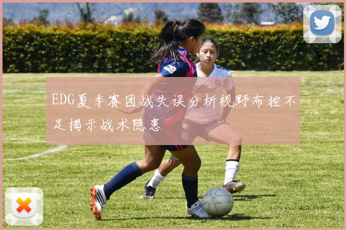 EDG夏季赛团战失误分析视野布控不足揭示战术隐患